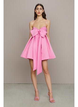 Rose Baby Doll Dress